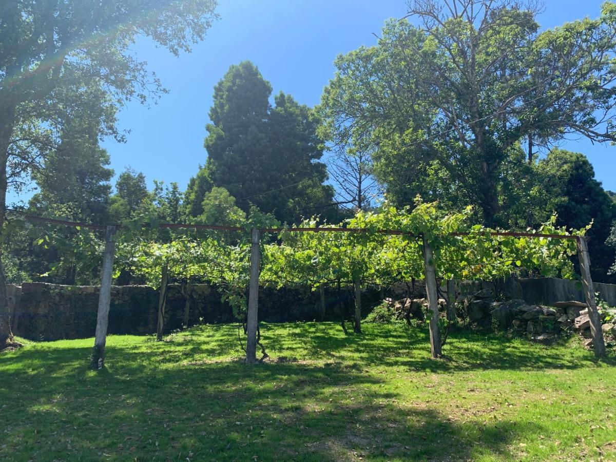 Casa Do Eido Da Torre, Ponte De Lima Βίλα Εξωτερικό φωτογραφία